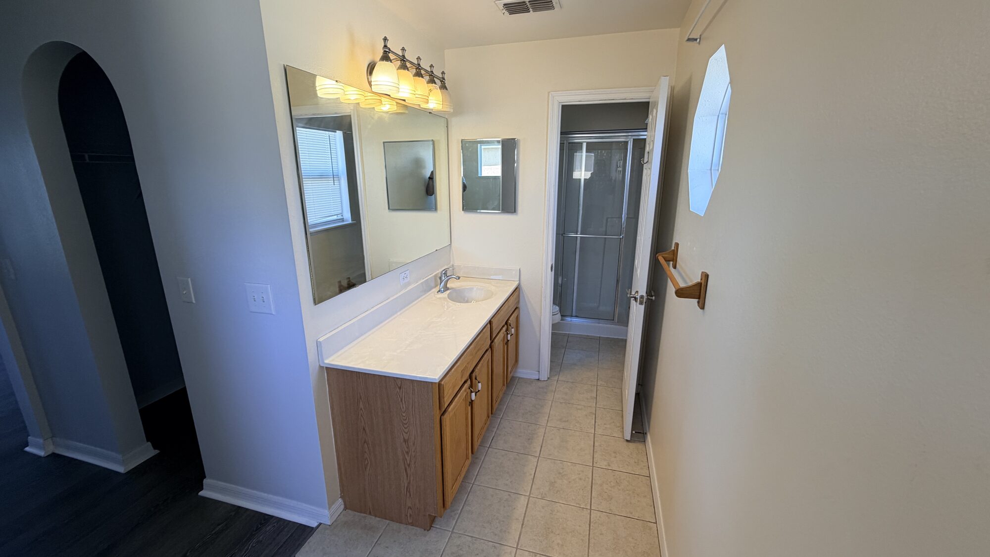 Primary bath vanity and shower
